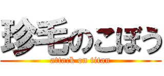 珍毛のこぼう (attack on titan)