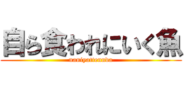 自ら食われにいく魚 (naniyattennda)