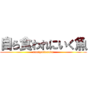 自ら食われにいく魚 (naniyattennda)