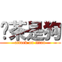 奶茶是狗 (attack on titan)