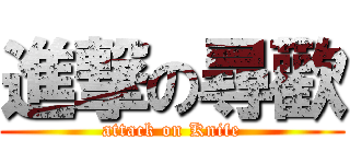 進撃の尋歡 (attack on Knife)