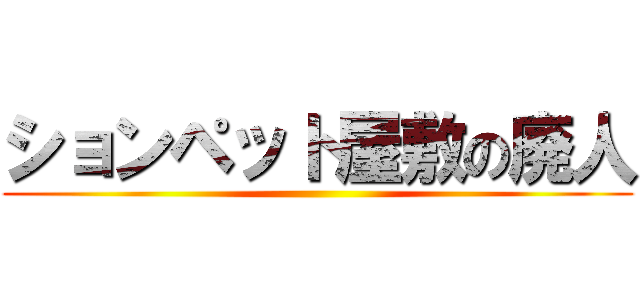 ションペット屋敷の廃人 ()