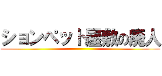 ションペット屋敷の廃人 ()
