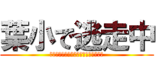 葉小で逃走中 (果たして君は親の本気から逃げ切れるか)