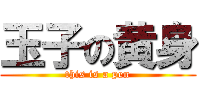 玉子の黄身 (this is a pen)