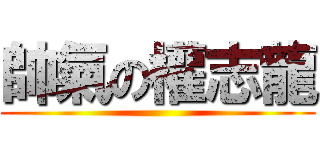 帥氣の權志龍 ()