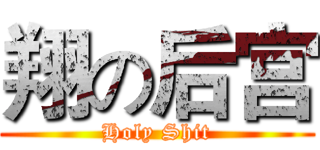 翔の后宫 (Holy Shit)