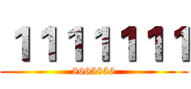 １１１１１１１ (8665856)