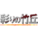 彩りの竹丘 (coloring on bamboohill)