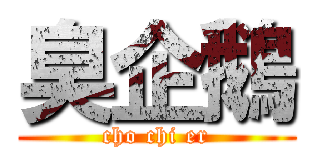 臭企鵝 (cho chi er)