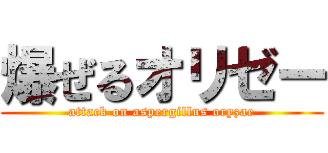 爆ぜるオリゼー (attack on aspergillus oryzae)