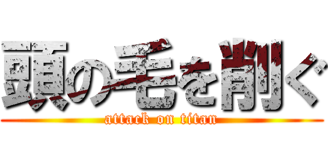 頭の毛を削ぐ (attack on titan)