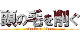 頭の毛を削ぐ (attack on titan)