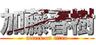 加藤春樹 (attack on titan)