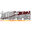 加藤春樹 (attack on titan)