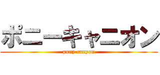 ポニーキャニオン (pony canyon)