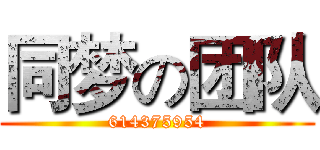 同梦の团队 (614375954)