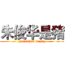 朱俊华是猪 (zhujunhua is pig)