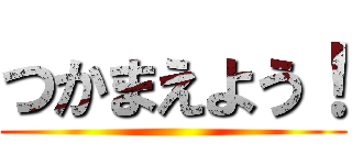 つかまえよう！ ()