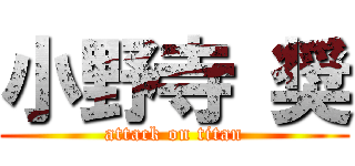 小野寺 奨 (attack on titan)