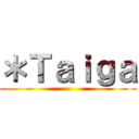 ＊Ｔａｉｇａ ()