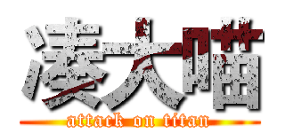 凑大喵 (attack on titan)