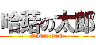 哈菇の太郎 (FUCK YOU)