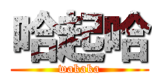 哈起哈 (wakaka)