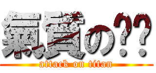 氣質の姊姊 (attack on titan)