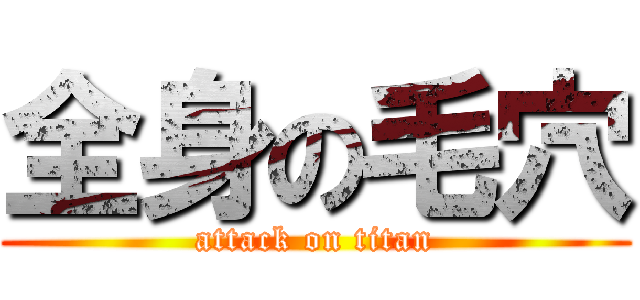 全身の毛穴 (attack on titan)