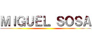 ＭＩＧＵＥＬ ＳＯＳＡ ()