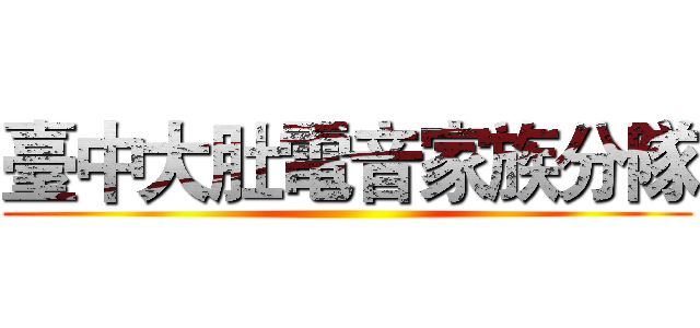 臺中大肚電音家族分隊 ()