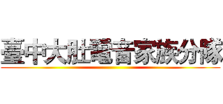 臺中大肚電音家族分隊 ()