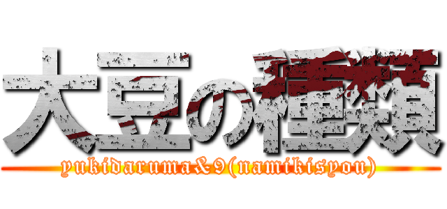 大豆の種類 (yukidaruma&9(namikisyou))