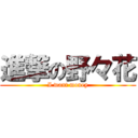 進撃の野々花 (I want money)