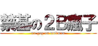 禁基の２Ｂ瘋子 (no gey on madman)