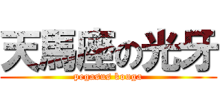 天馬座の光牙 (pegasus kouga)