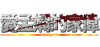 愛孟嫻的家偉 (love you)