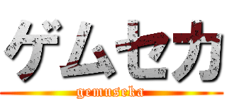 ゲムセカ (gemuseka)