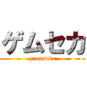 ゲムセカ (gemuseka)