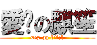 愛趴の麒笙 (sex on bitch)