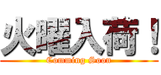 火曜入荷！ (Comming Soon)