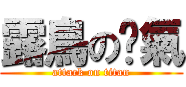 露鳥の傻氣 (attack on titan)