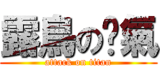 露鳥の傻氣 (attack on titan)