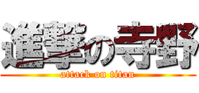 進撃の寺野 (attack on titan)