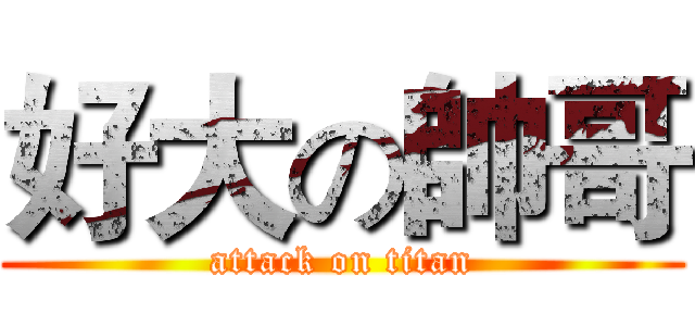 好大の帥哥 (attack on titan)