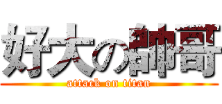 好大の帥哥 (attack on titan)