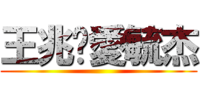 王兆崴愛毓杰 ()