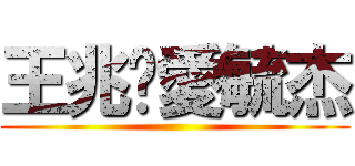 王兆崴愛毓杰 ()