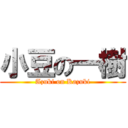 小豆の一樹 (Azuki on Kazuki)